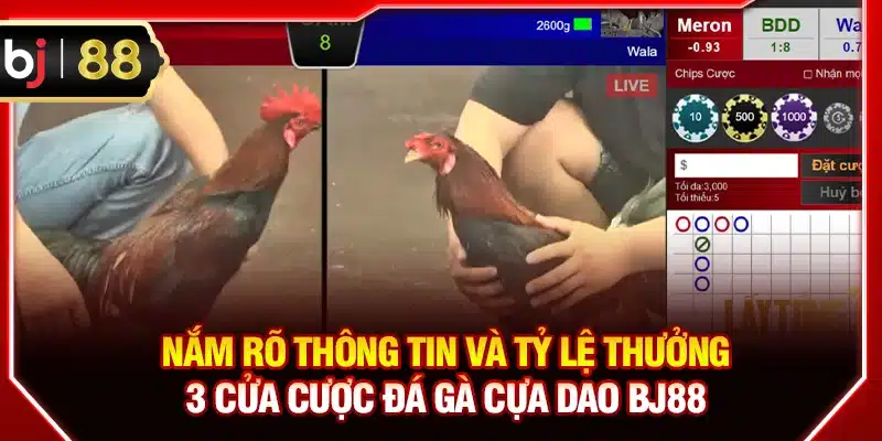 Nắm rõ thông tin và tỷ lệ thưởng 3 cửa cược đá gà cựa dao BJ88