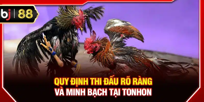 Quy định thi đấu rõ ràng và minh bạch tại Tonhon