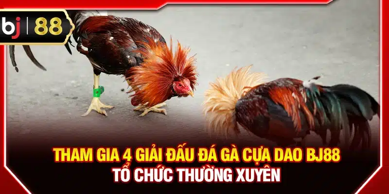 Tham gia 4 giải đấu đá gà cựa dao BJ88 tổ chức thường xuyên
