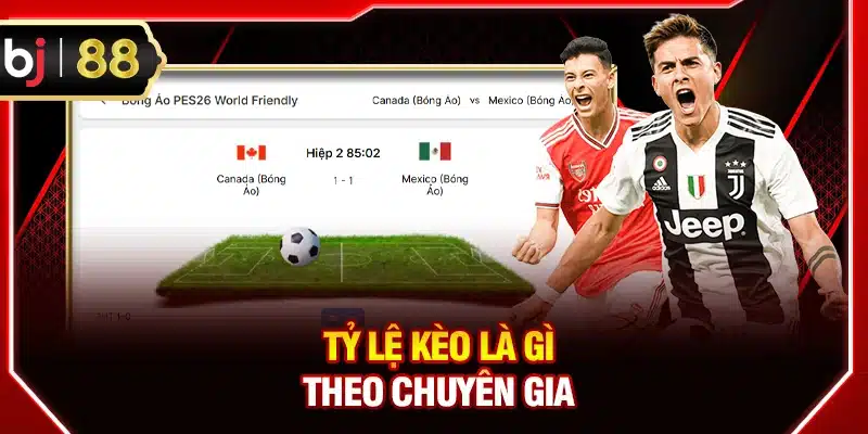 Tỷ lệ kèo là gì theo chuyên gia