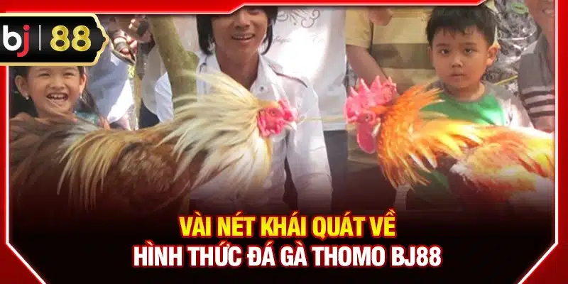 Vài nét khái quát về hình thức đá gà Thomo BJ88